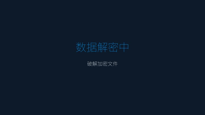 ProjectR 游戏截图 — 数据解密界面，破解加密文件过程